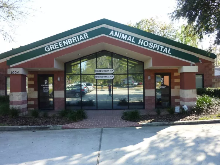 Greenbriar Animal Hospital, Florida, Jacksonville